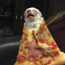 allireallywant avatar