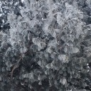 allisharesstuff avatar