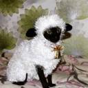 allisonkittel avatar