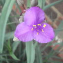 allisonlynne0514 avatar