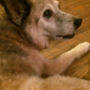 allisonnsmmithh avatar