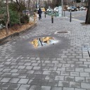 alliterativeirony avatar