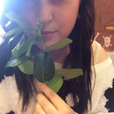 alllourbruisedbodies-blog avatar