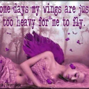 allmenareidiots avatar