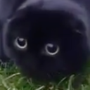 allmyfriends2007 avatar