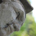 allmyfriendsareacademics avatar