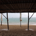 allmylittlethoughtsx avatar