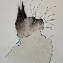 allnighter200 avatar