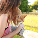 allonsyoldsport-blog avatar