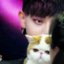 allpainnogxin avatar