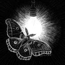 allseeingmoth avatar