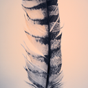 allthatglittersis-gold avatar