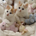 allthatsheloves avatar