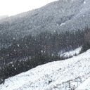 allthecoloursofautumn avatar