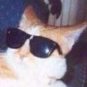 alltheconspirators avatar