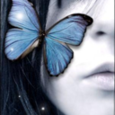 alltheprettybutterflies avatar