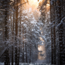 alltheprettysex-blog avatar