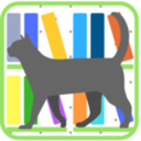 alltheseoddities avatar