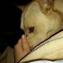 allthesidesofme avatar