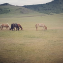 alltheskiesofalltheworlds avatar