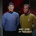 allthestrange-strangecreatures avatar