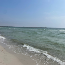 allthetimewelaugh avatar