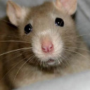 alltheusernamesaretaken24 avatar