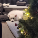 allthings-beautiful avatar