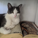 allthingsseenandunseen avatar