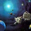 allthingswithanimals avatar