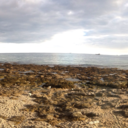 alltimepanicatthehorizon avatar