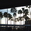 alltypesofdancers-blog avatar