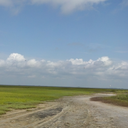 allwander-blog avatar