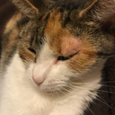 allxtimexhigh avatar