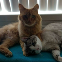 allygrav-blog avatar