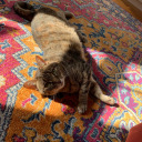 allyoufeelislove avatar