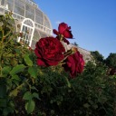 allyougetisconfetti avatar