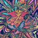 allyourbeautifulllies avatar