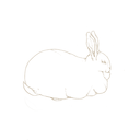 allysonmellberg avatar