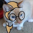 allywrites-aceauthor avatar