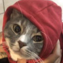 almanoesdaway-blog avatar