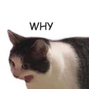 almathecolormaniac avatar