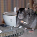 almighty-wh0re avatar