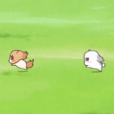 almond-tofu-kun avatar