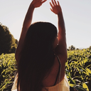 almost-did-blog avatar