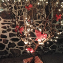 almosteasyblogg avatar