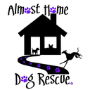 almosthome-dog avatar