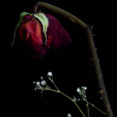 almostperfect220 avatar