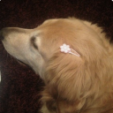 almostvomited avatar