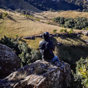 alnicollphotography avatar